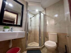 The Mayfair (D22), Condominium #459696761